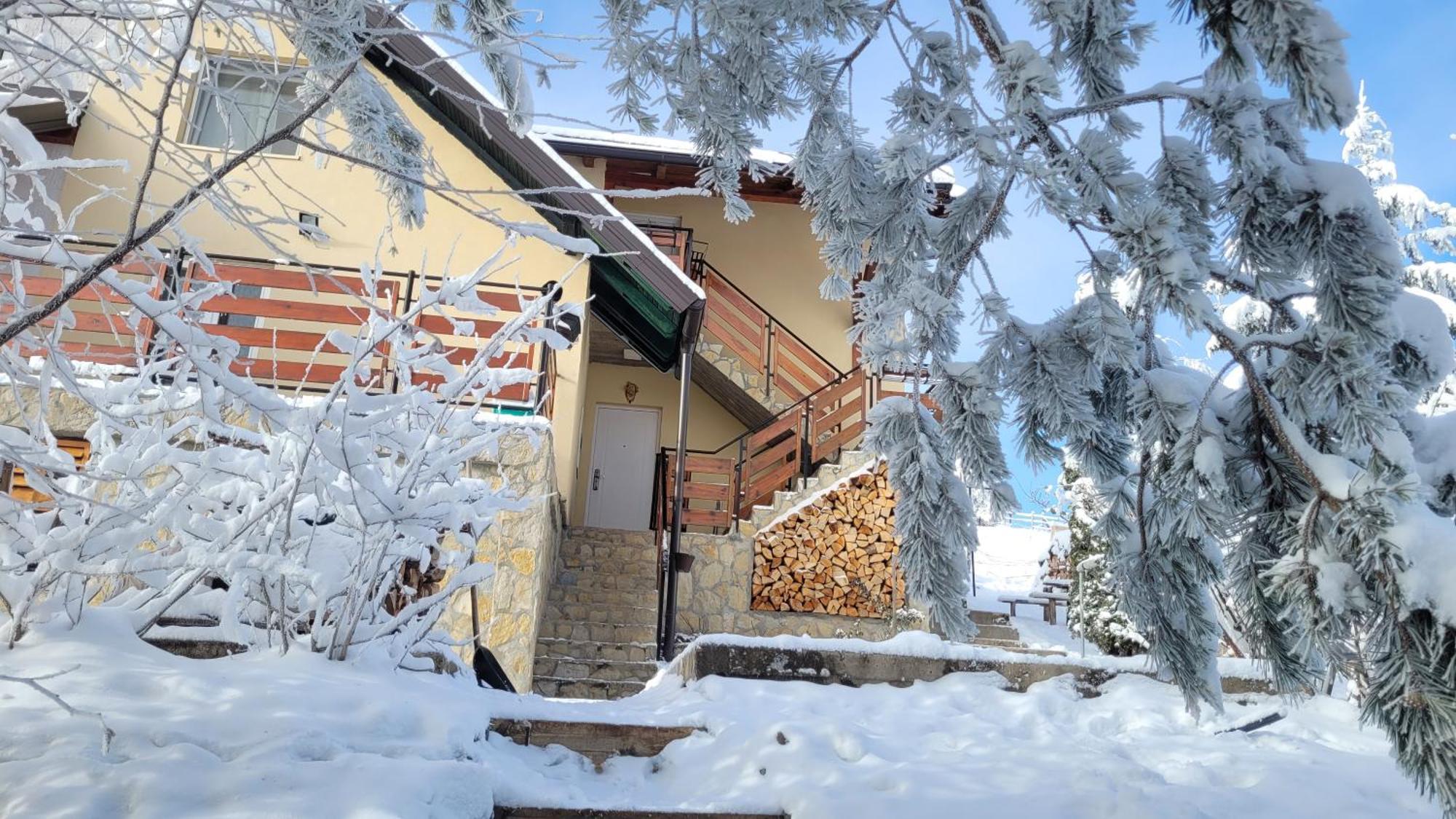 Zlatibor Apartmani Dm Tornik المظهر الخارجي الصورة