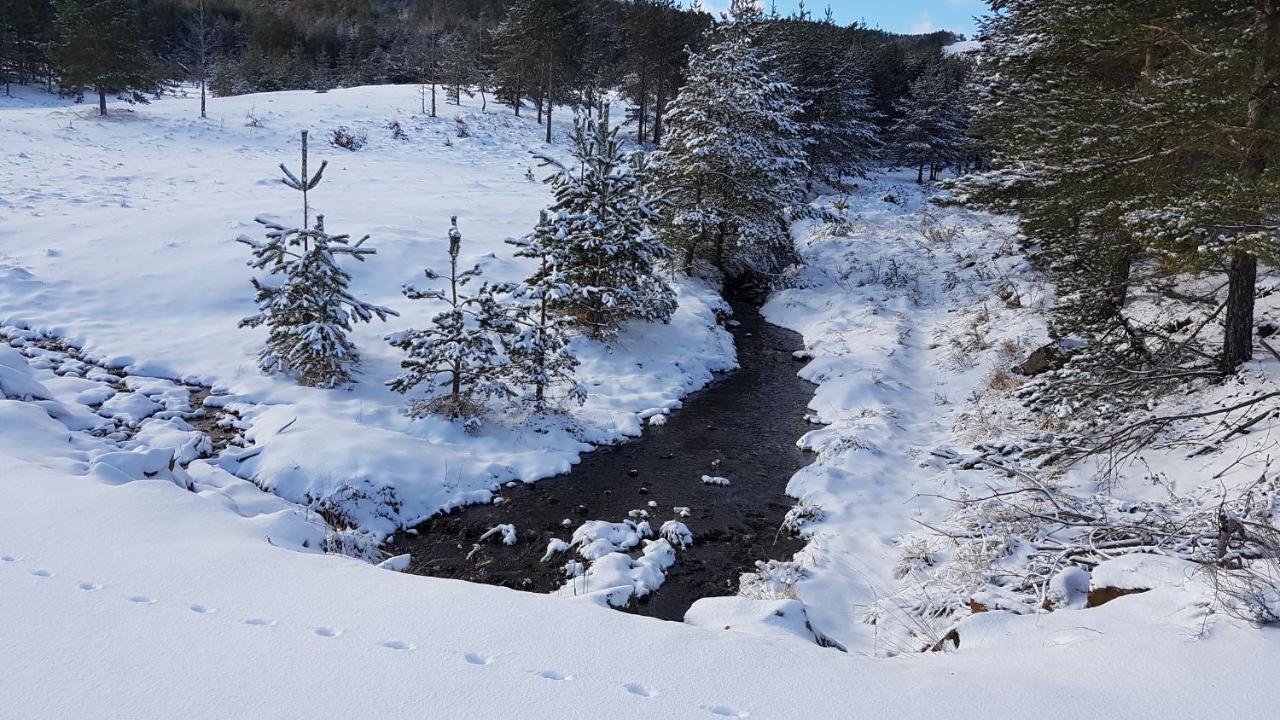 Zlatibor Apartmani Dm Tornik المظهر الخارجي الصورة