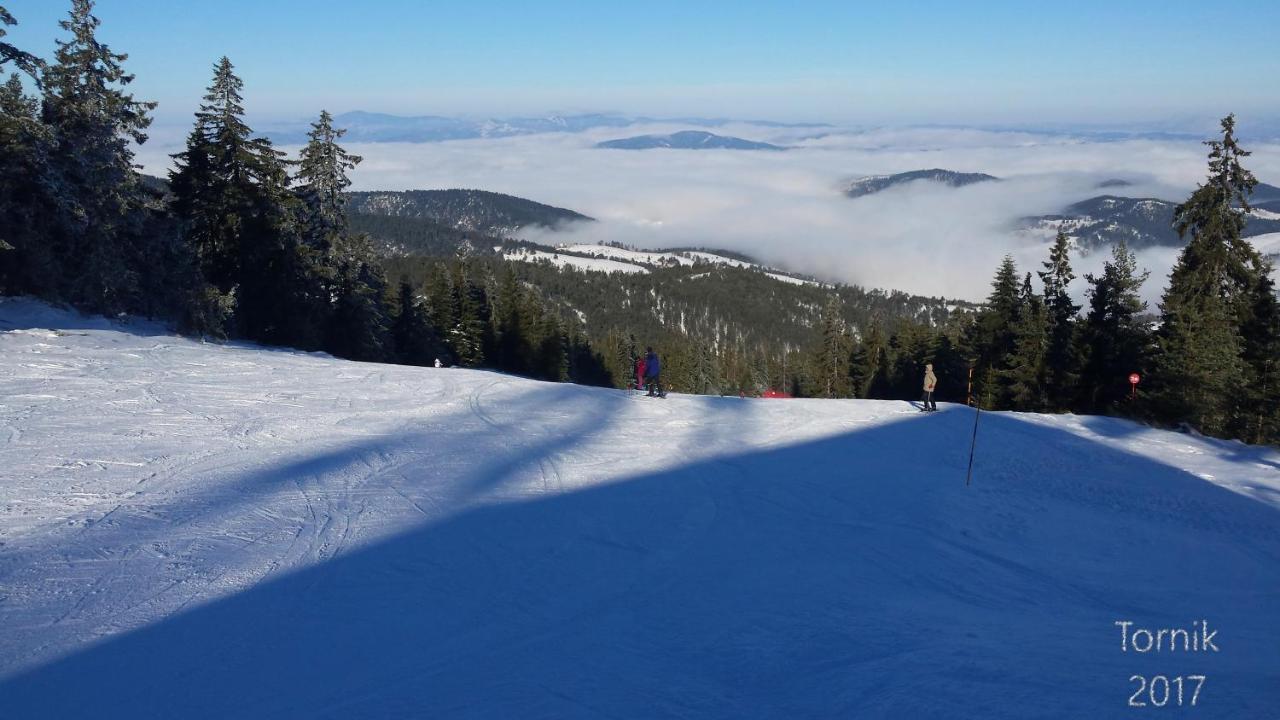 Zlatibor Apartmani Dm Tornik المظهر الخارجي الصورة